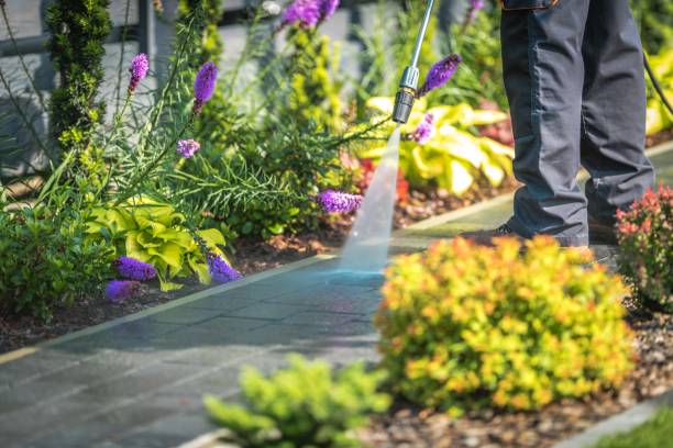 Best Animal Enclosure Cleaning  in Linntown, PA